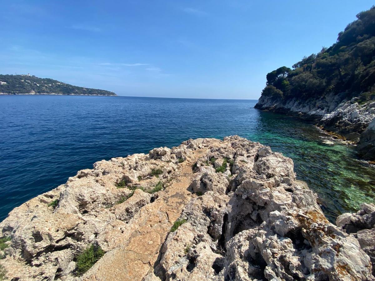 Riviera Dreams Of Life Nizza